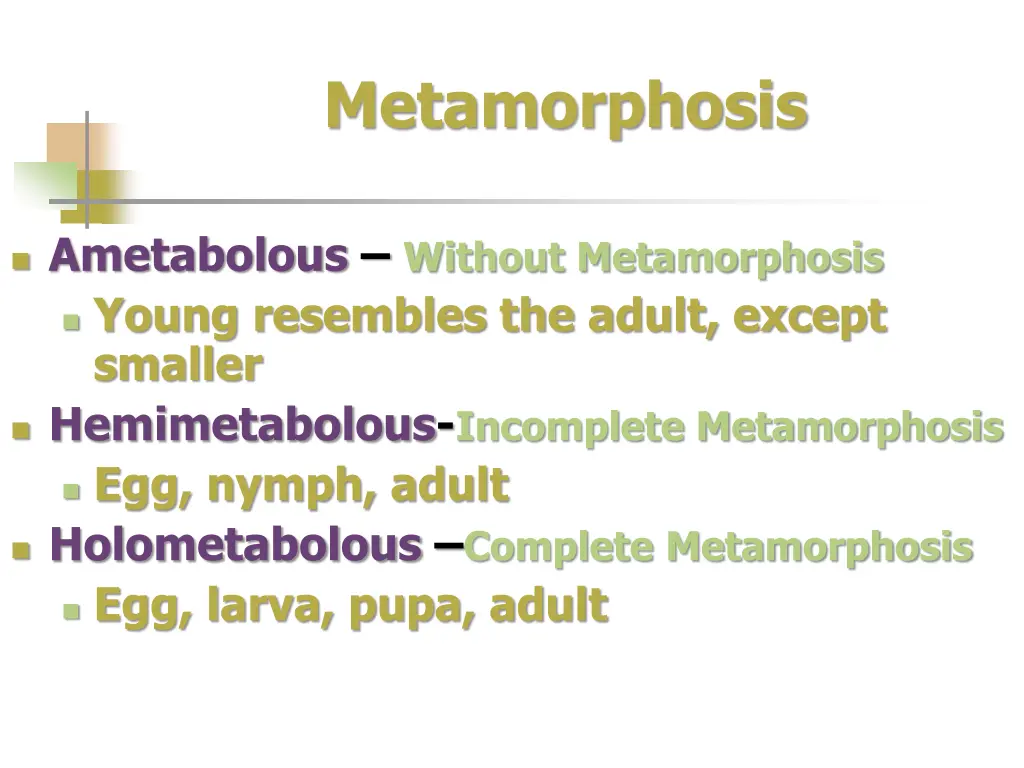 metamorphosis