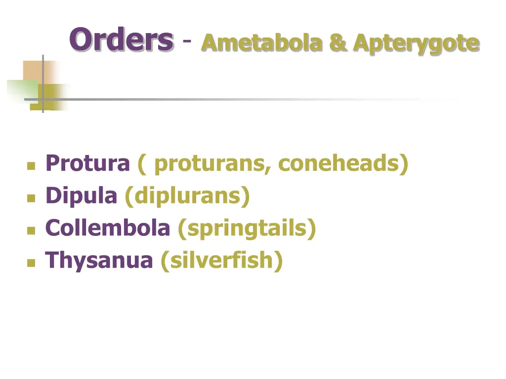 orders ametabola apterygote