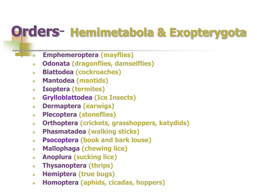orders hemimetabola exopterygota