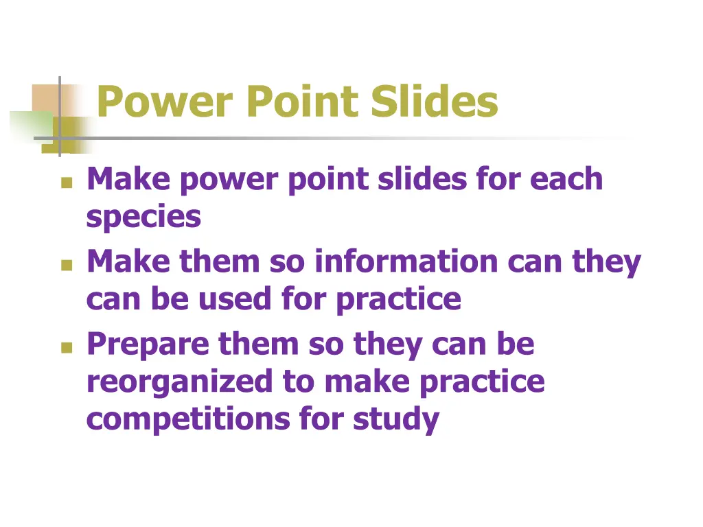 power point slides