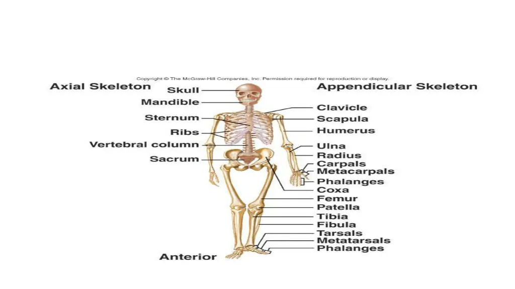 slide5