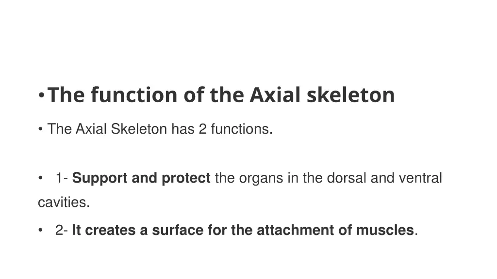 the function of the axial skeleton