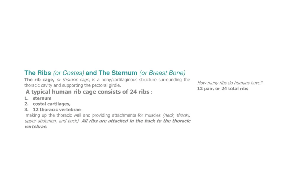 the ribs or costas and the sternum or breast bone