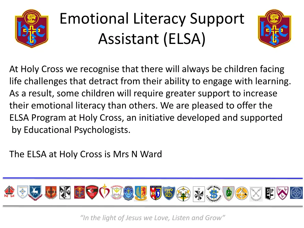 emotional literacy support assistant elsa