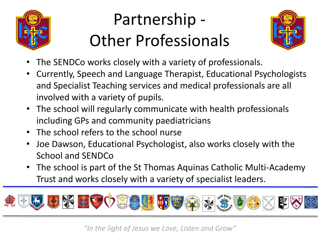partnership other professionals