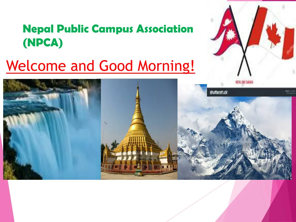 nepal public campus association npca