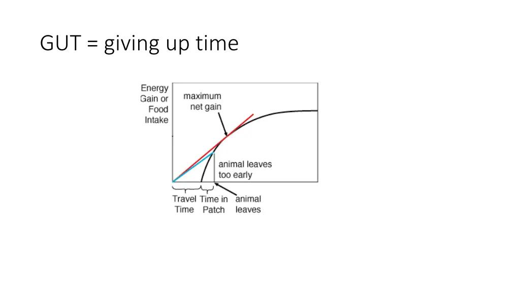 gut giving up time