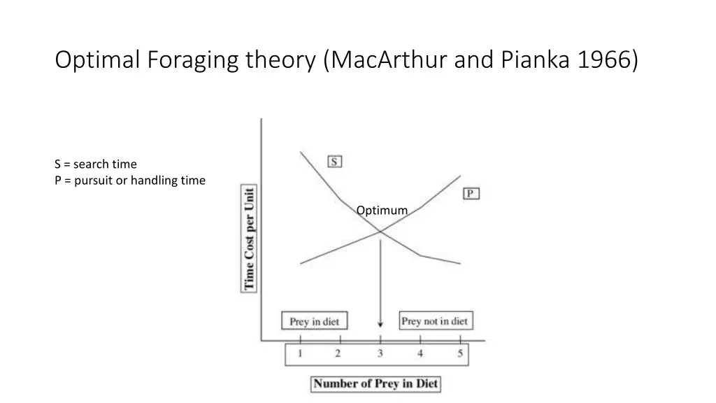 optimal foraging theory macarthur and pianka 1966