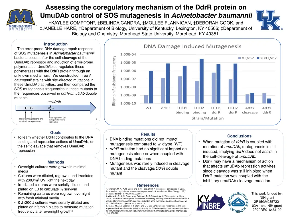 assessing the coregulatory mechanism of the ddrr