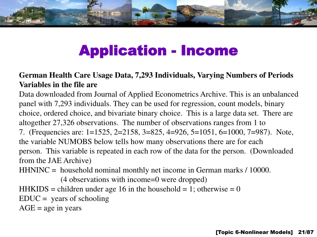 application application income
