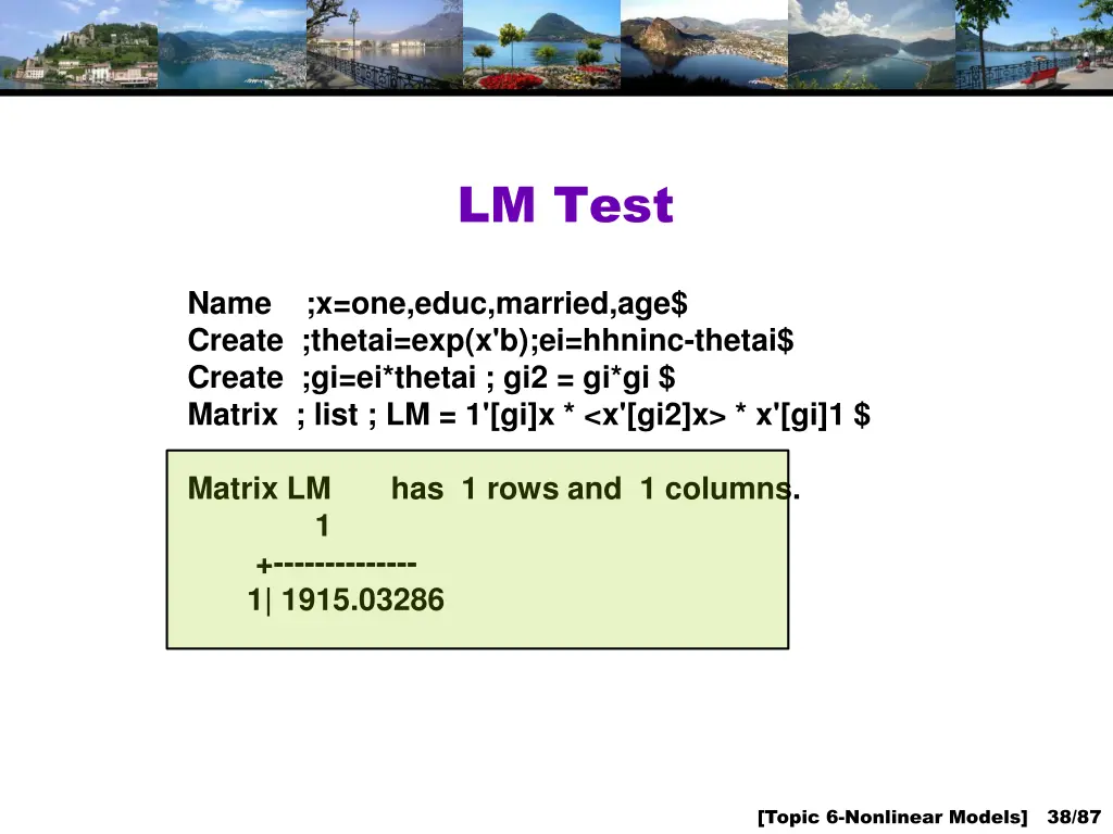 lm test