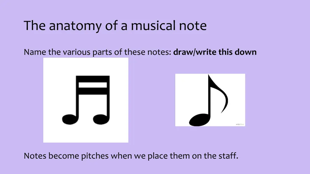 the anatomy of a musical note