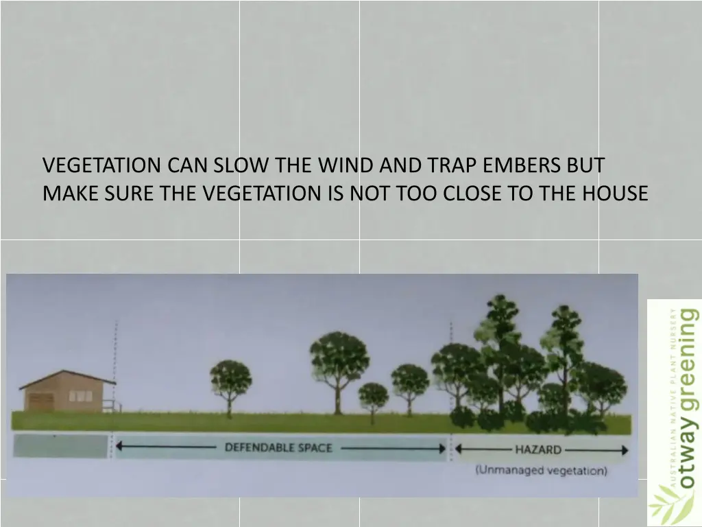 vegetation can slow the wind and trap embers