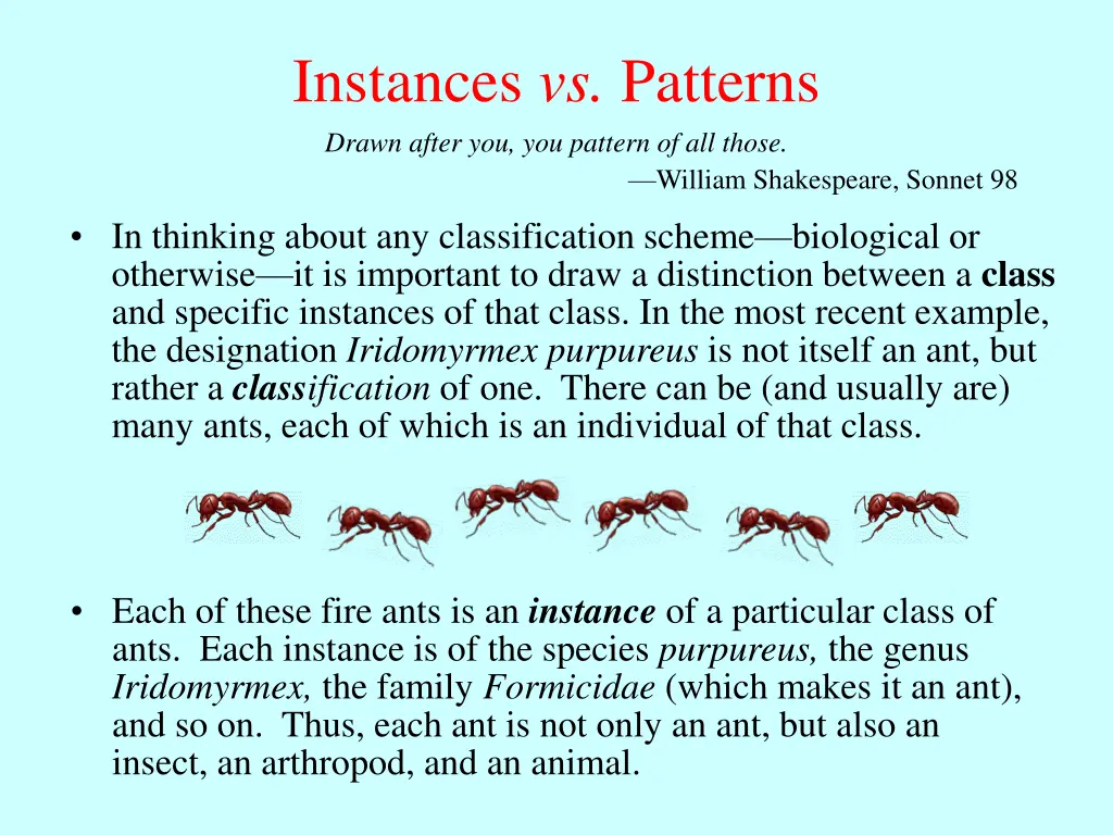 instances vs patterns drawn after you you pattern