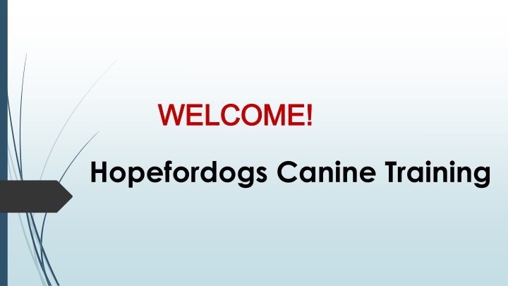 welcome welcome
