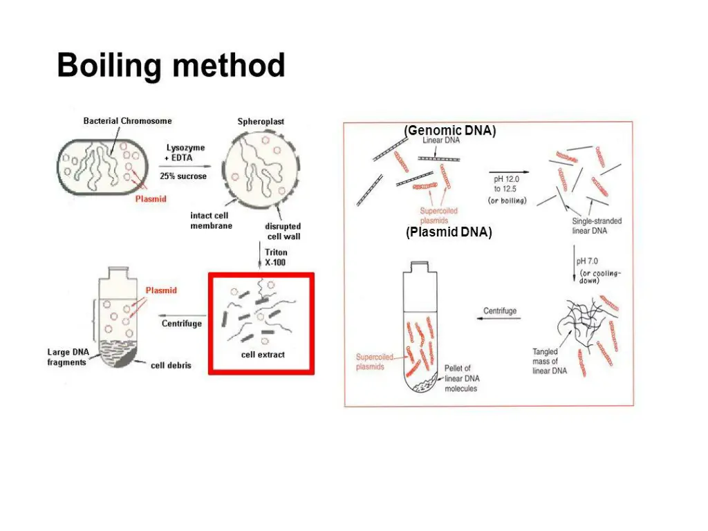 slide8