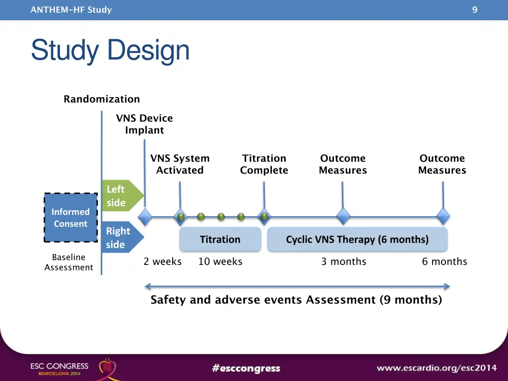 anthem hf study 7