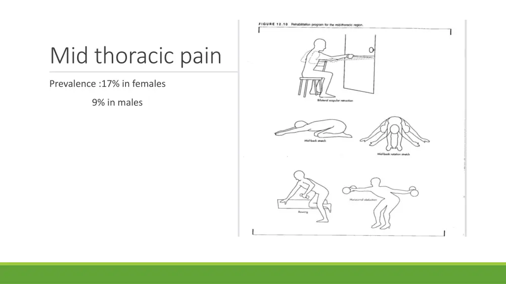 mid thoracic pain