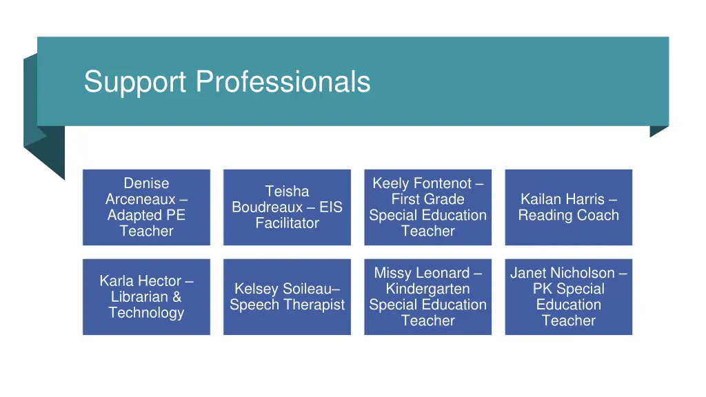 support professionals