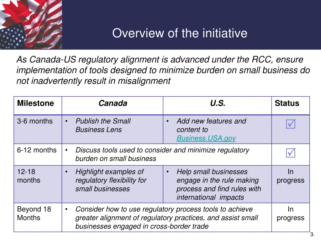 overview of the initiative