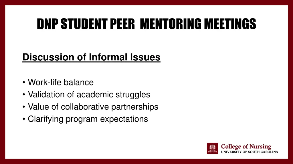 dnp student peer mentoring meetings 2