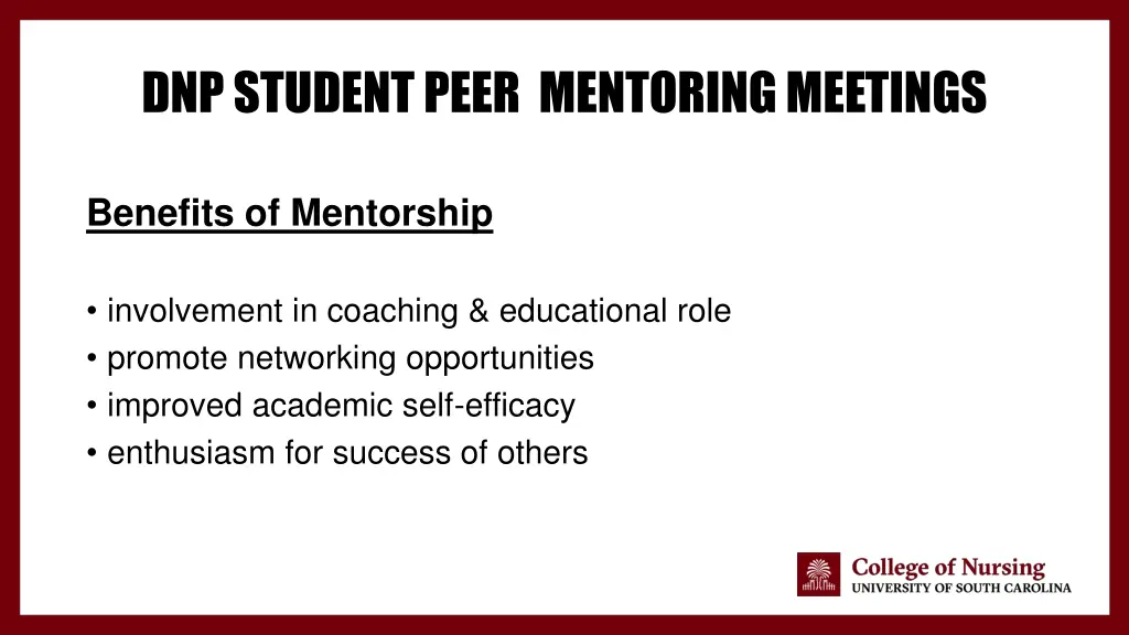 dnp student peer mentoring meetings 4