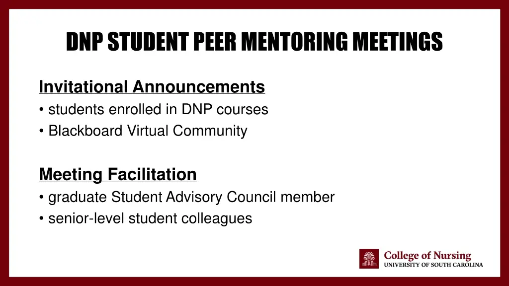 dnp student peer mentoring meetings
