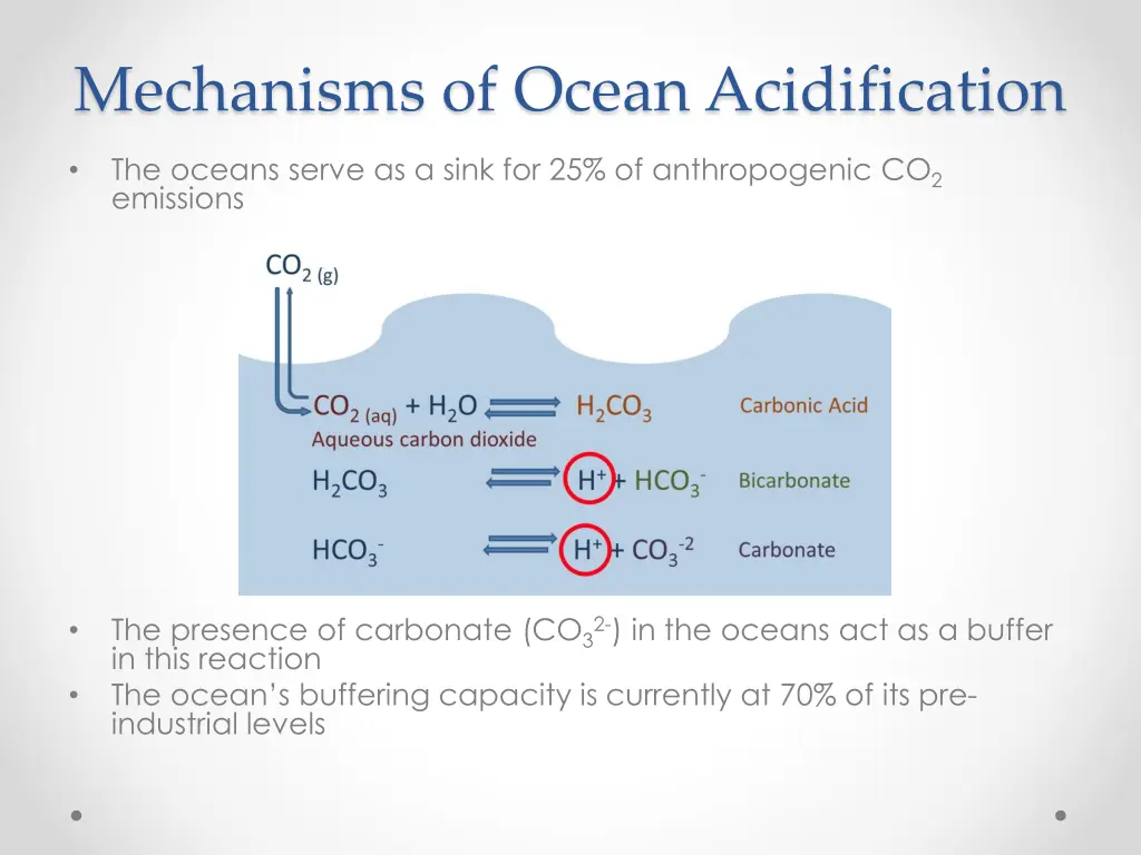 mechanisms of ocean acidification