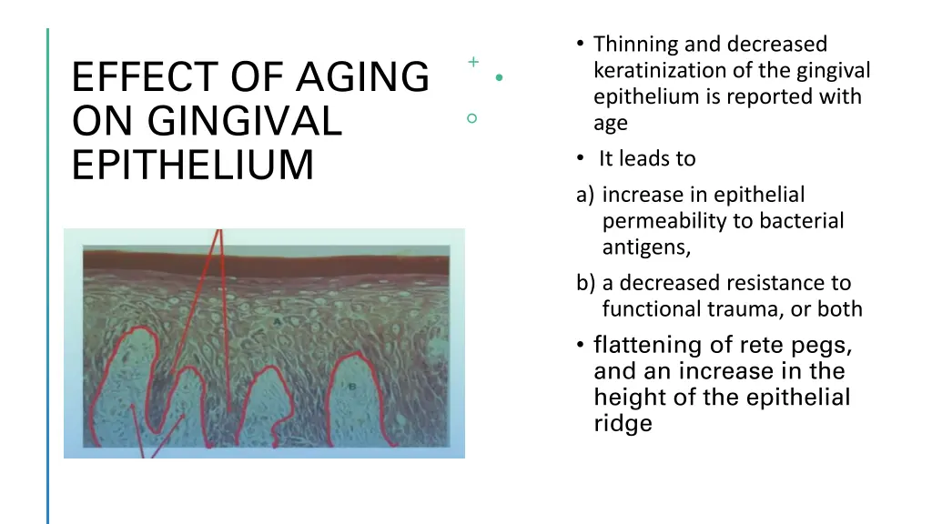 thinning and decreased keratinization