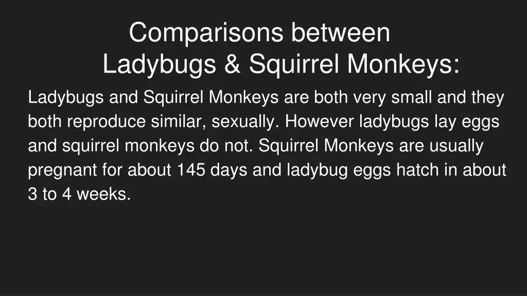 comparisons between ladybugs squirrel monkeys