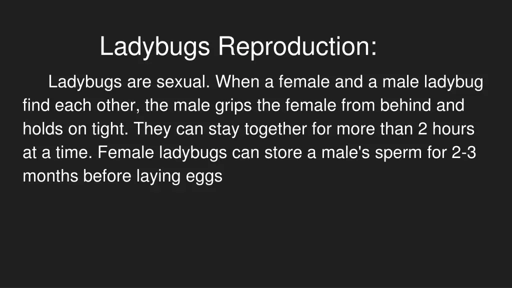ladybugs reproduction