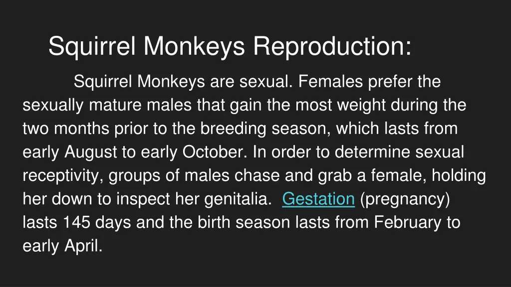squirrel monkeys reproduction