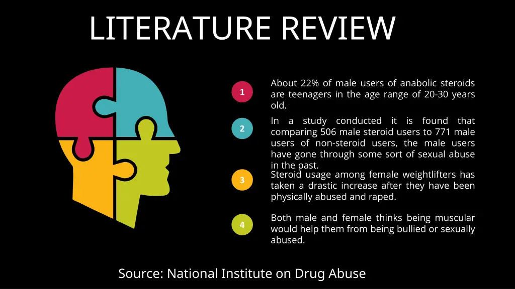 literature review