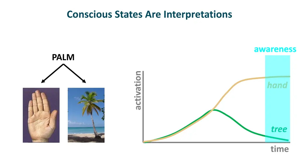 conscious states are interpretations