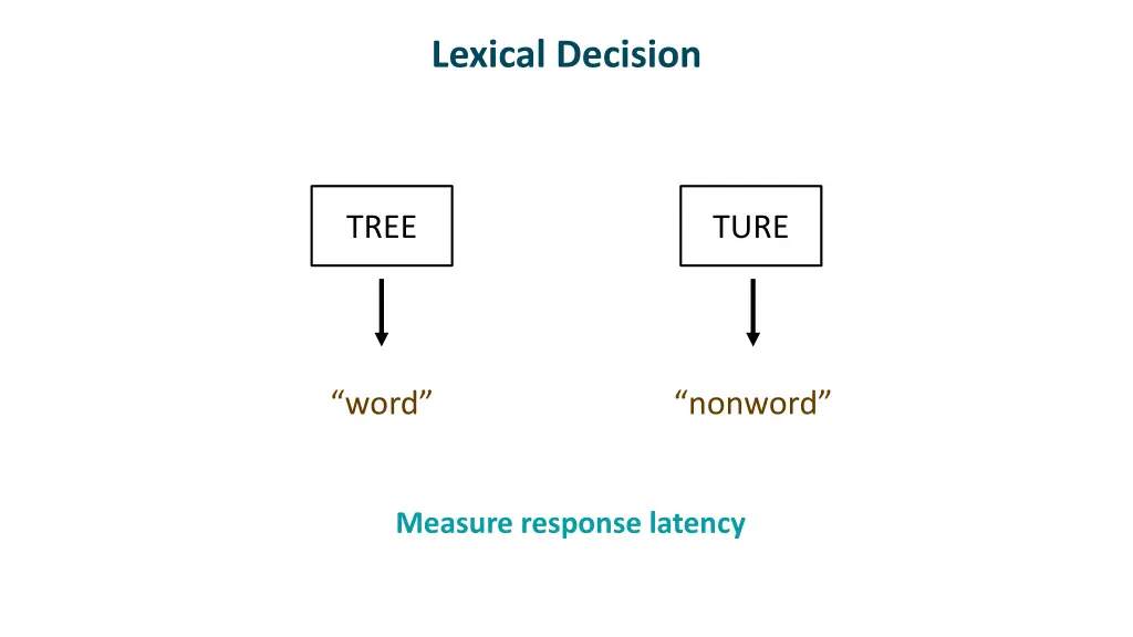 lexical decision