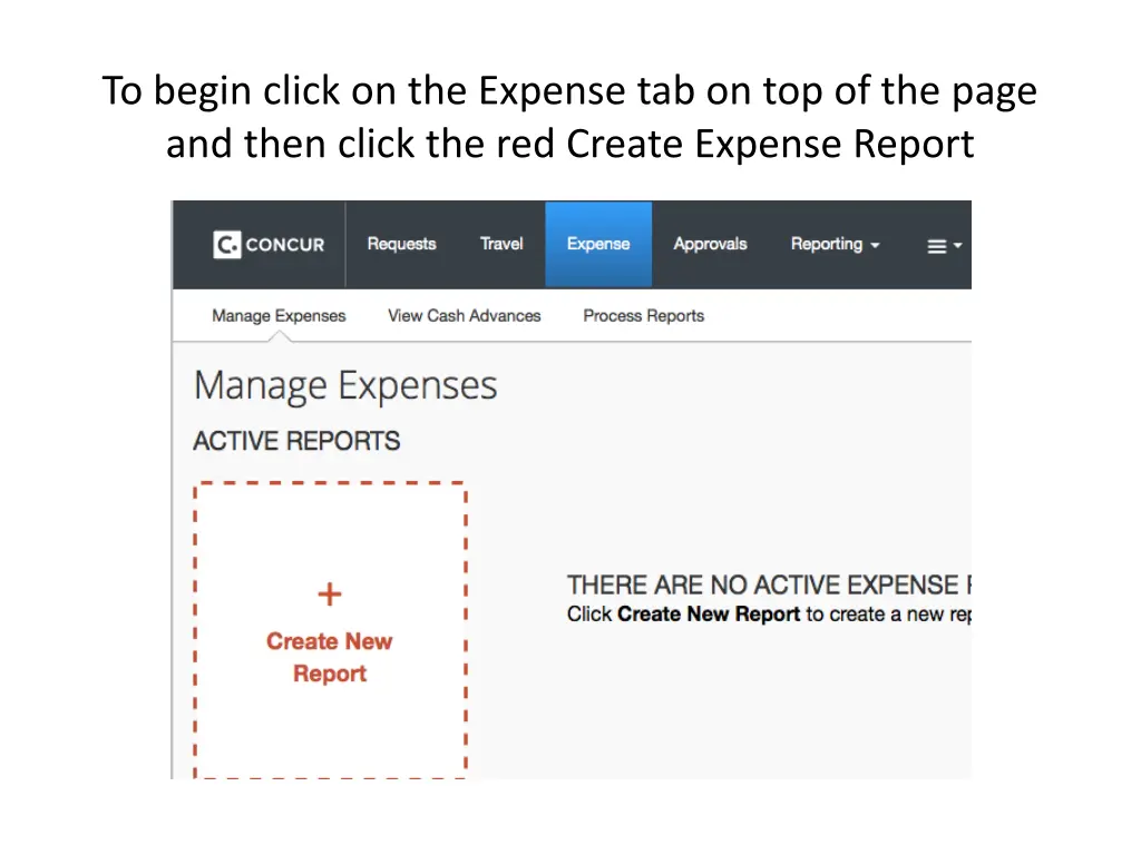 to begin click on the expense