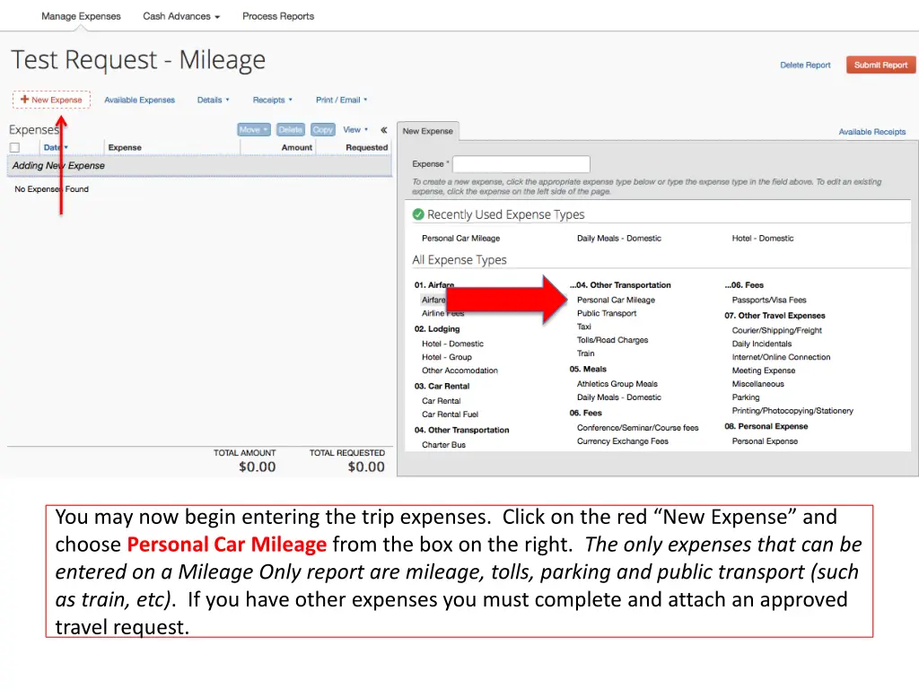 you may now begin entering the trip expenses