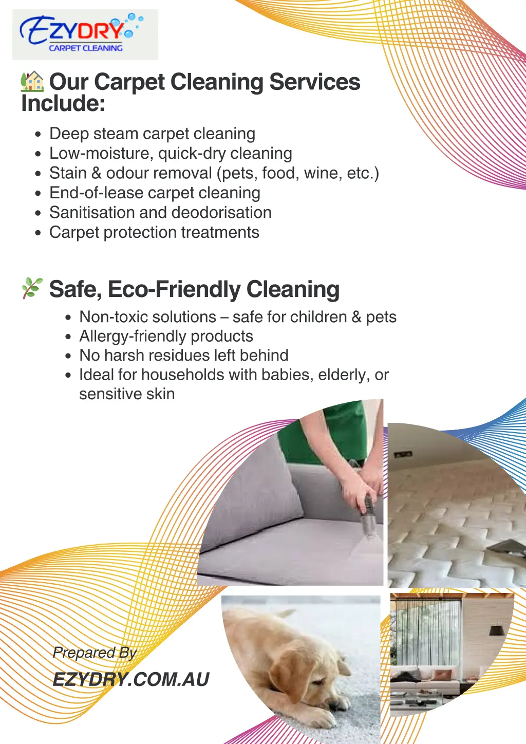 our carpet cleaning services include