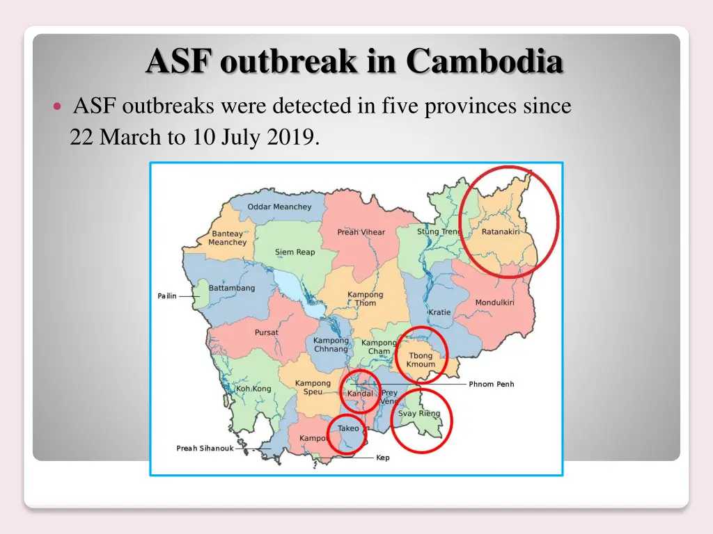 asf outbreak in cambodia