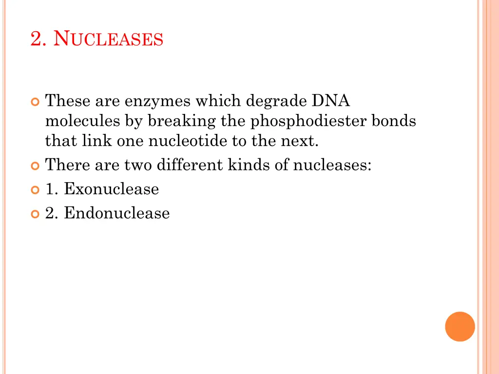 2 n ucleases