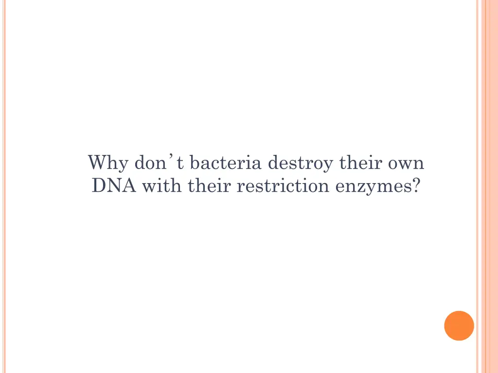 why don t bacteria destroy their own dna with