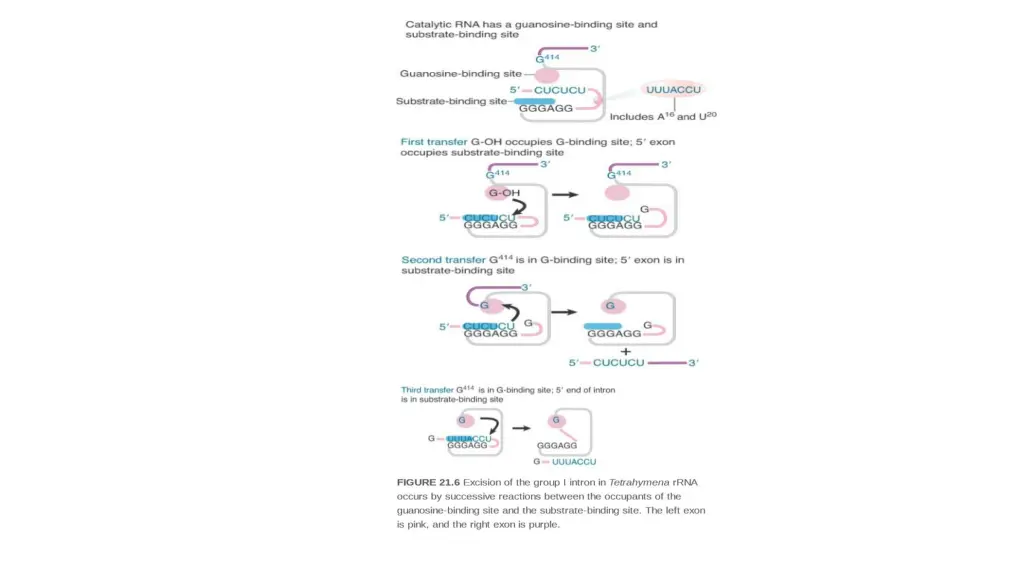 slide9