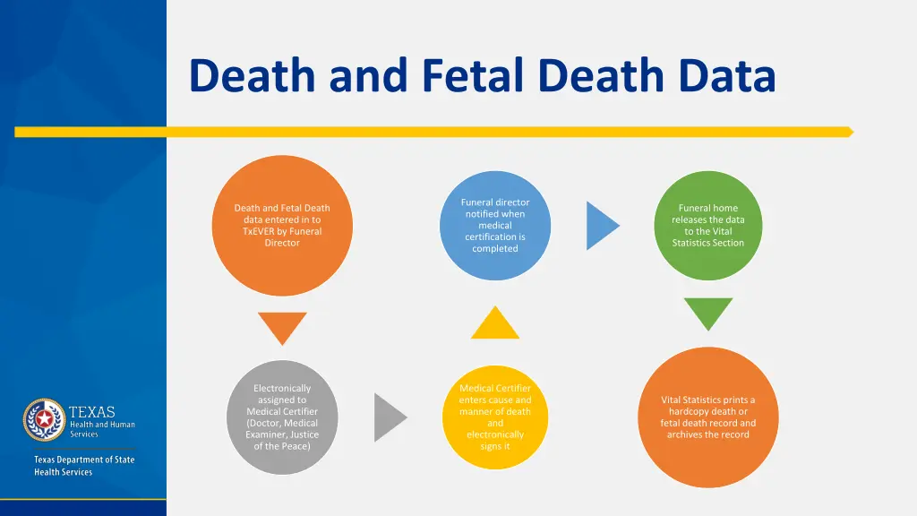 death and fetal death data