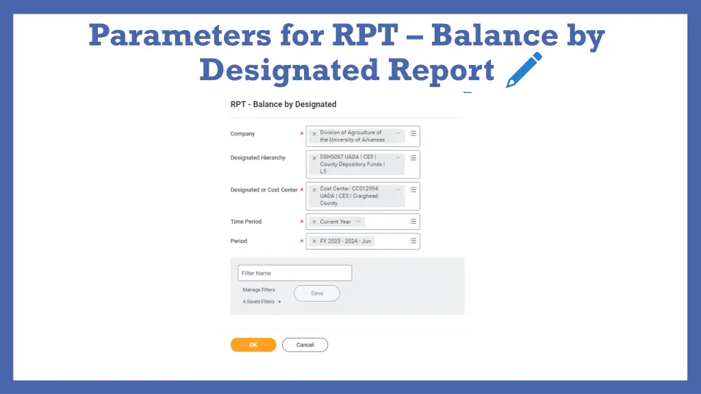 parameters for rpt balance by designated report