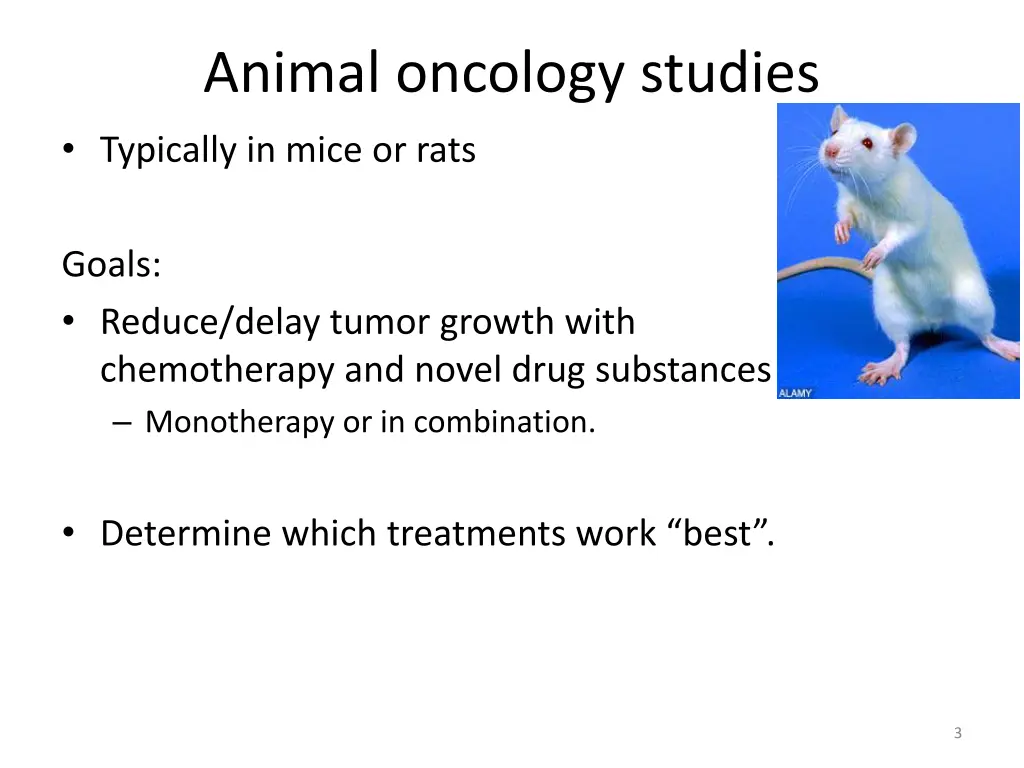 animal oncology studies typically in mice or rats