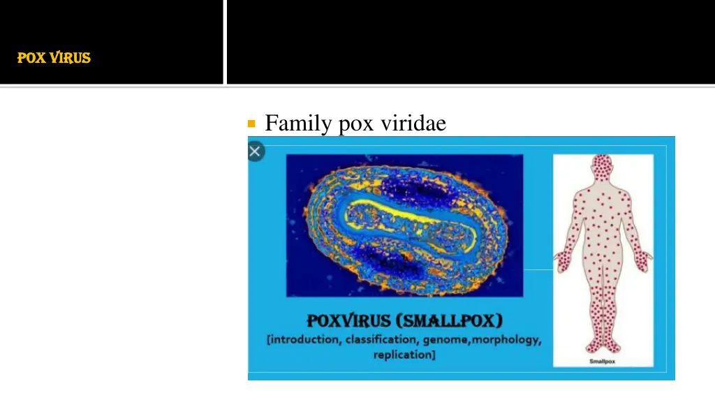 pox virus pox virus