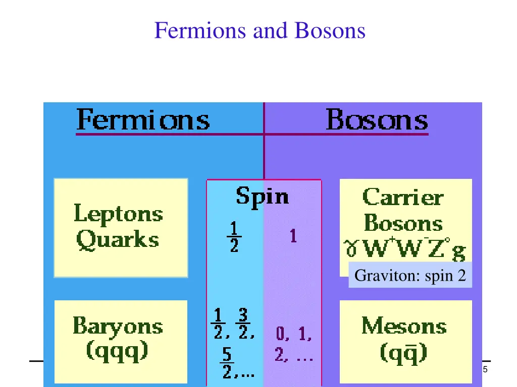 fermions and bosons