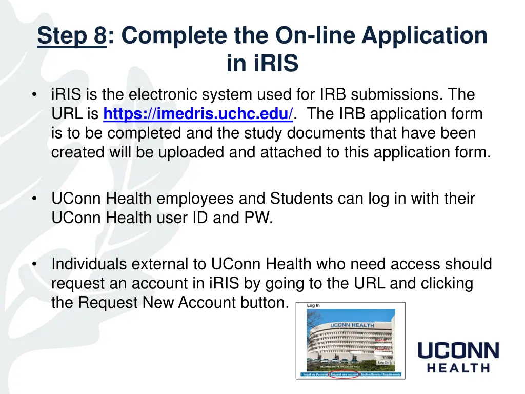 step 8 complete the on line application in iris