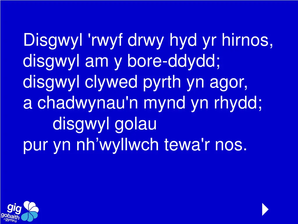 disgwyl rwyf drwy hyd yr hirnos disgwyl am y bore