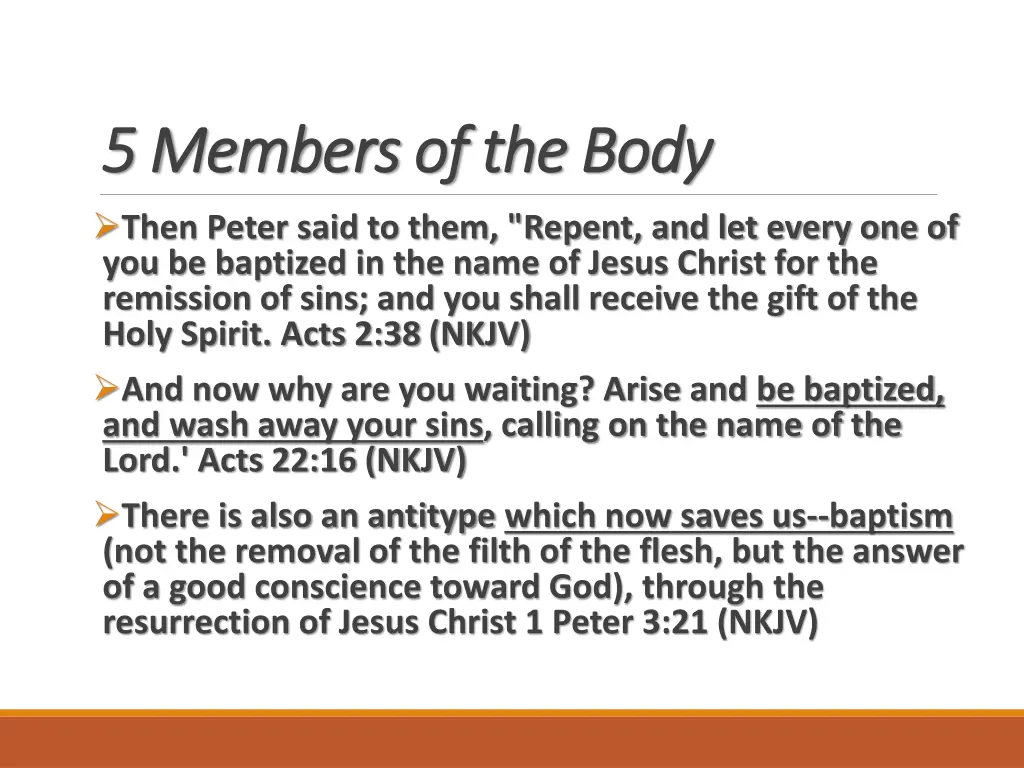 5 members of the body 5 members of the body then